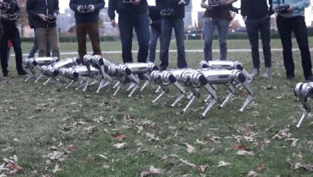 一群机械狗的球技展示，未来科技