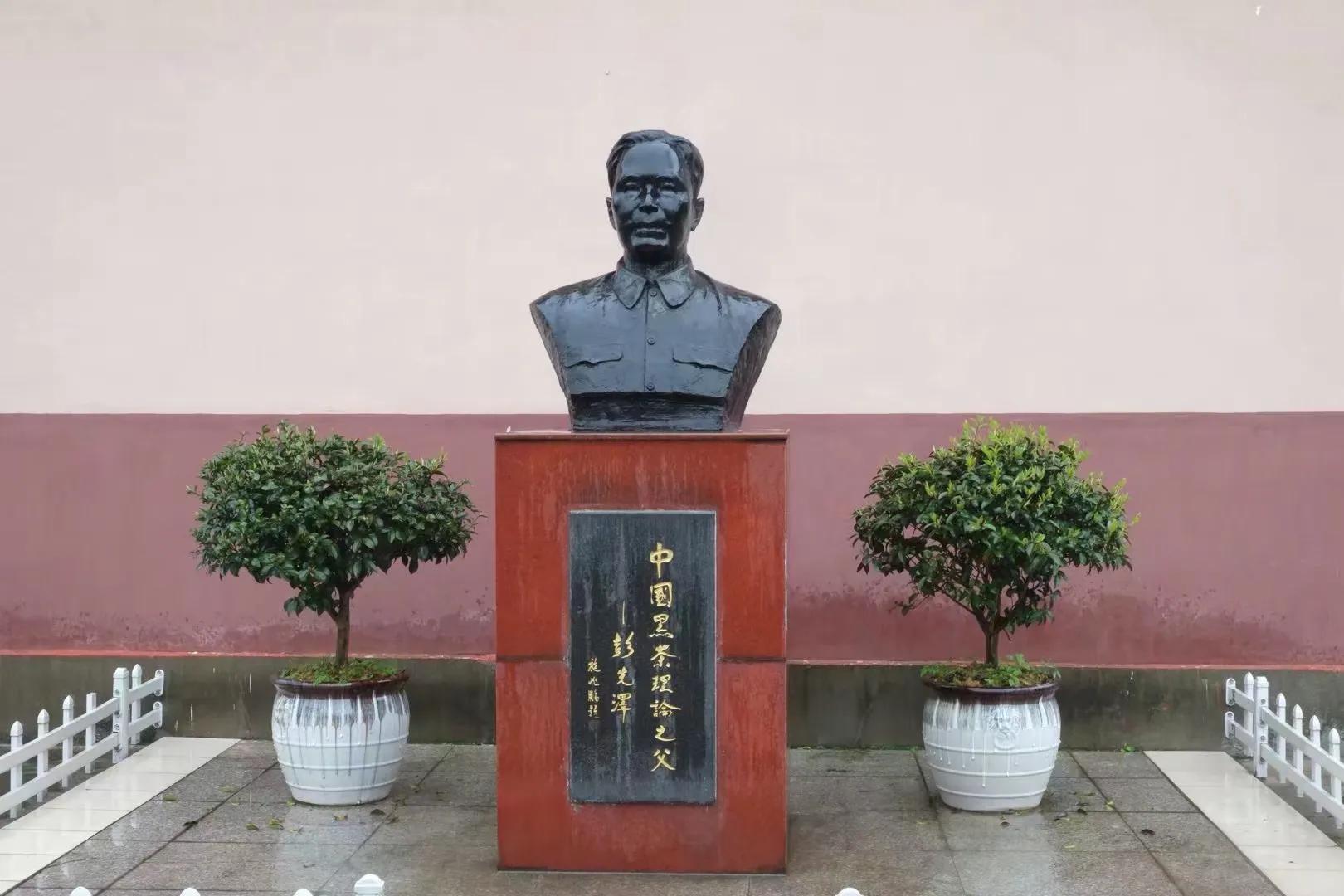 黑茶印象,安化黑茶独特的地形