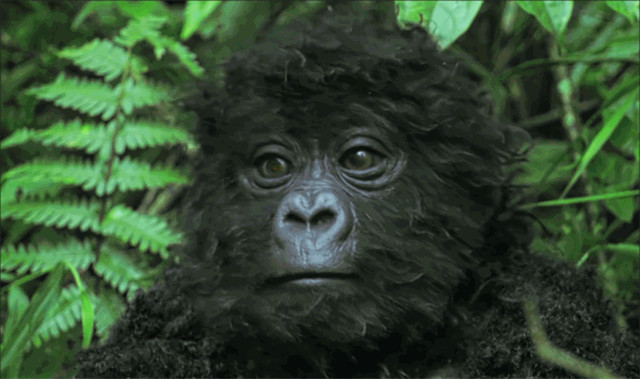 bbc有多有钱,bbc多有钱