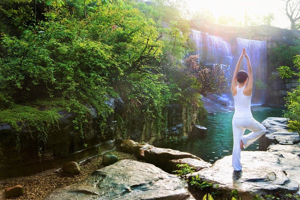 鎭掑ぇ鍏泭娲诲姩,鎭掑ぇ閰掑簵鍖绘姢棰勭害