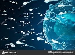 精子质量差偏方,精子不合格中药可以补回来吗