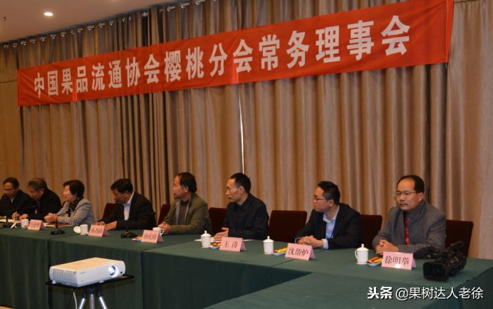 樱桃好吃树难栽下一句谚语是什么,樱桃好吃树难栽后一句是啥