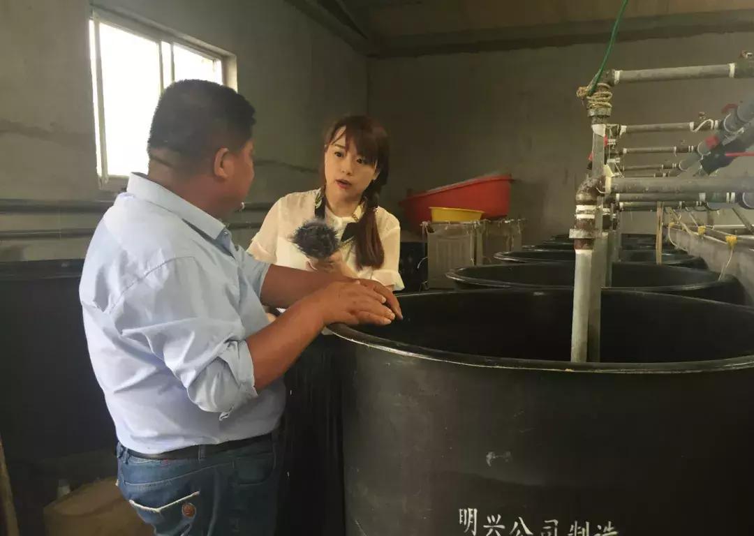 厉害！这个百万养虾大户，被评为全县淡水养殖状元！