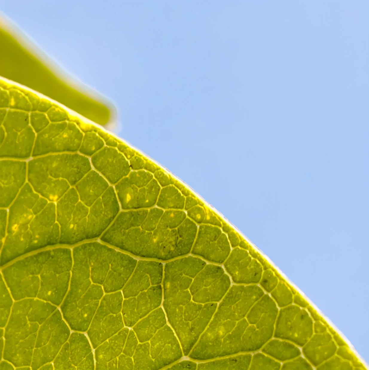 2470f2.8镜头拍出来效果,28mmf2.8镜头适合拍什么