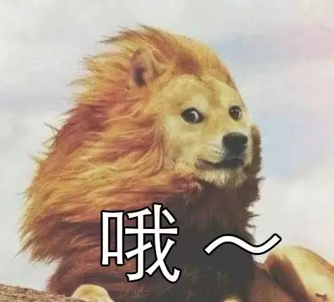 买东西收到快递的流程是什么样的,快递经过泉州厦门寄得过来吗