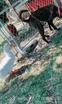 第一天出地摊，气晕老妈，差点不敢回家