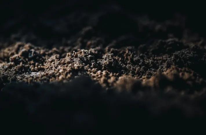 长城桑干酒庄赤霞珠2006,长城桑干酒庄特别珍藏版