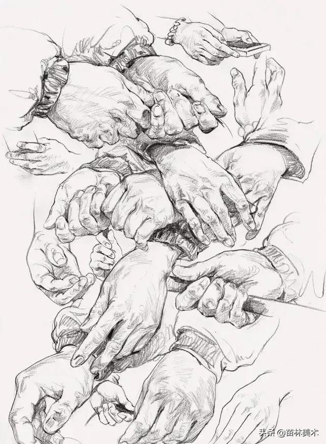 最全的速写的理论知识,速写最快学会