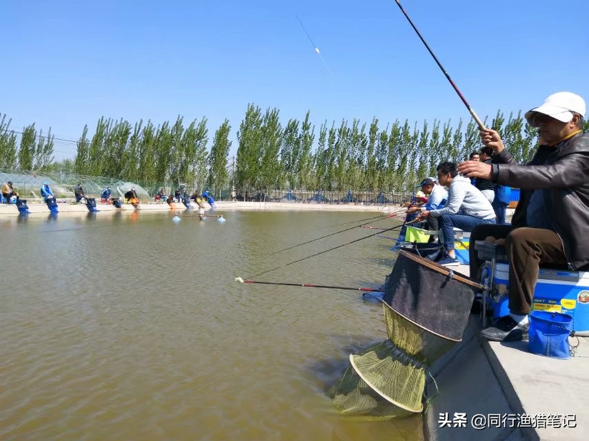 台钓怎么抛竿落点准确,台钓为什么抛竿老是往右偏一点