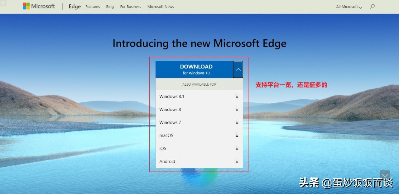 微软浏览器下载太慢怎么办,微软浏览器无法访问此页面