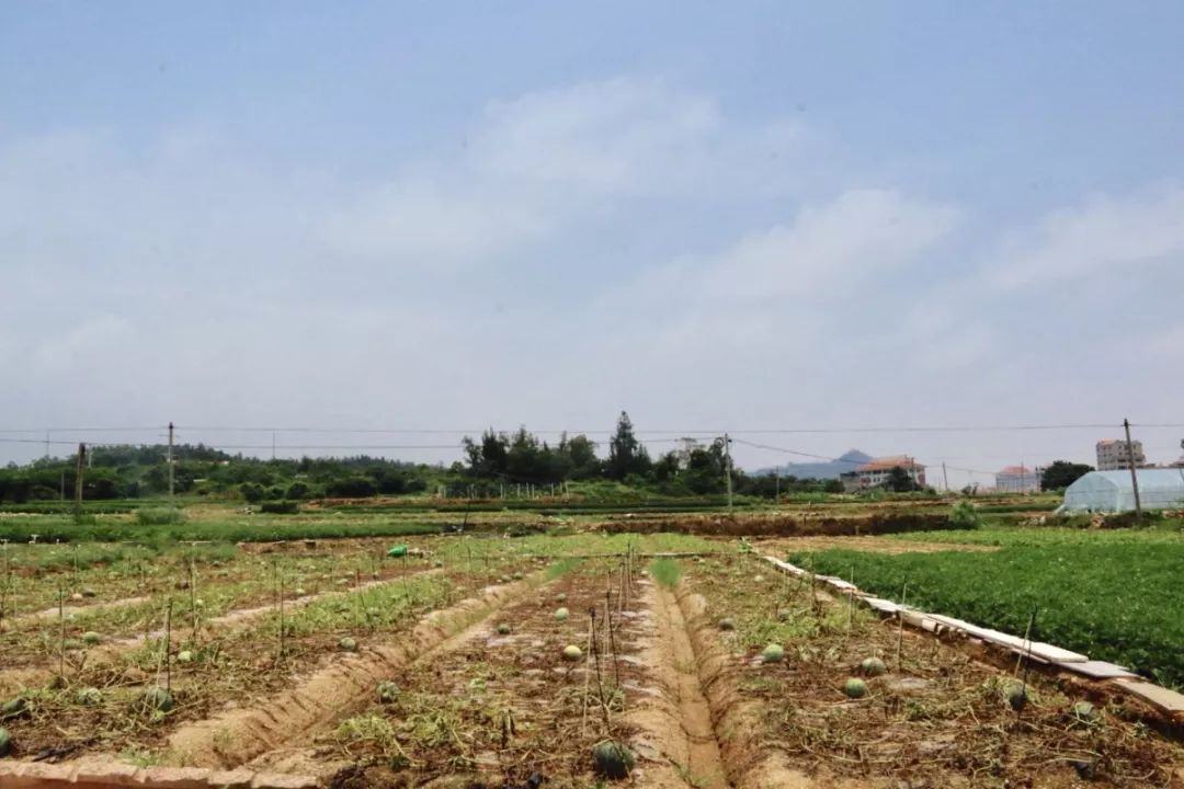 翔安机场建设效果图,翔安机场全景