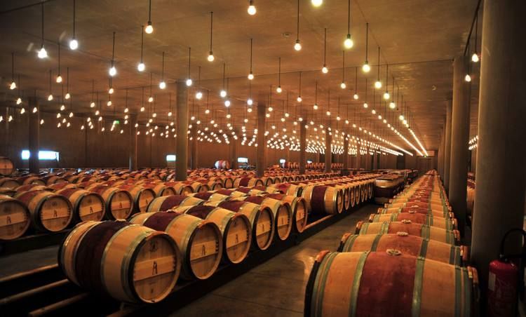 龚文祥论坛完整视频,龚文祥课程