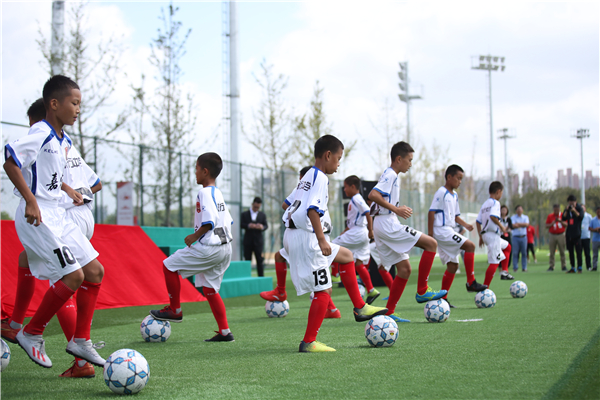 上海有哪些体育公园,上海新开运动公园