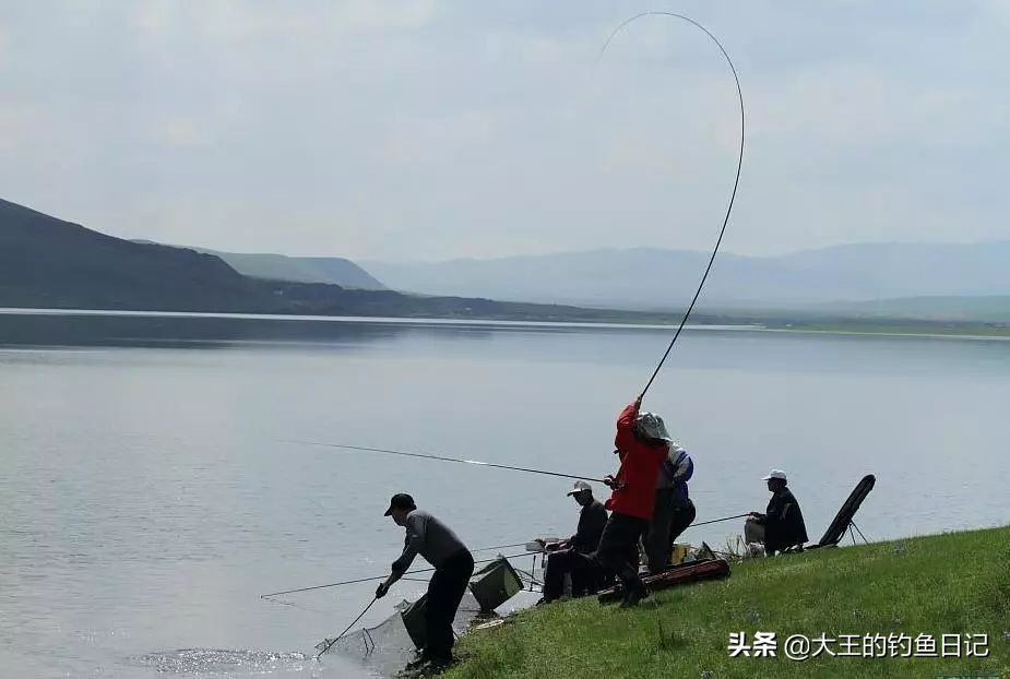 肥水塘用什么钓鲤鱼,肥水塘怎么钓鲫鱼最好