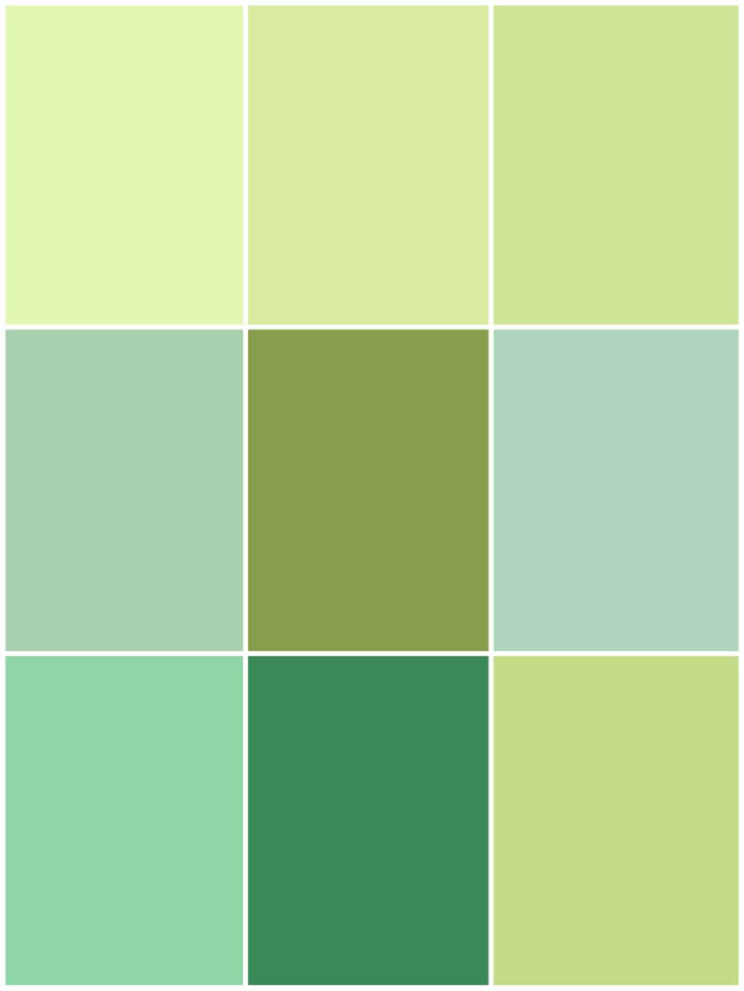 简单利落的颜色和款式搭配,好看的绿色与橙色搭配