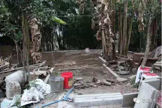 改造山野小院记录田园生活,花4万块钱改造的小院