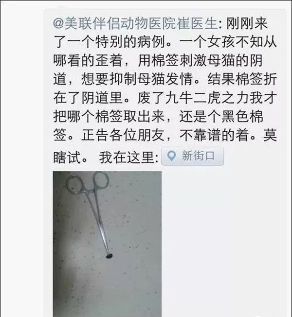 猫咪剃毛可以抑制发情的药,公猫咪剃毛后发情怎么缓解