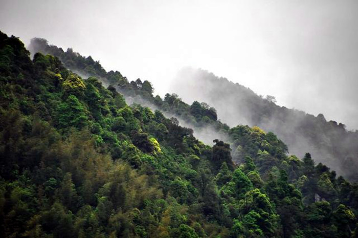 改革开放40年：重庆綦江旅游从遥不可及到说走就走