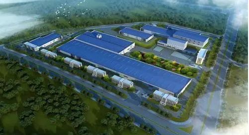 牛总创业经历视频,牛总投资