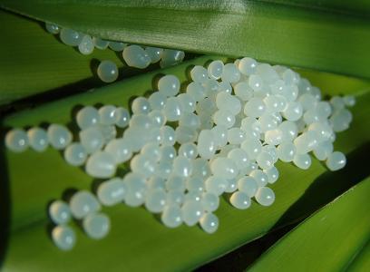 聚氨酯和环氧丙烯酸酯,水溶性聚氨酯丙烯酸酯