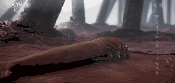 人体科普bbc,bbc人体科学