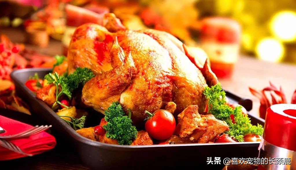 长得丑,火气大,价格昂贵,还不好吃,也许这就是火*吧鸡**