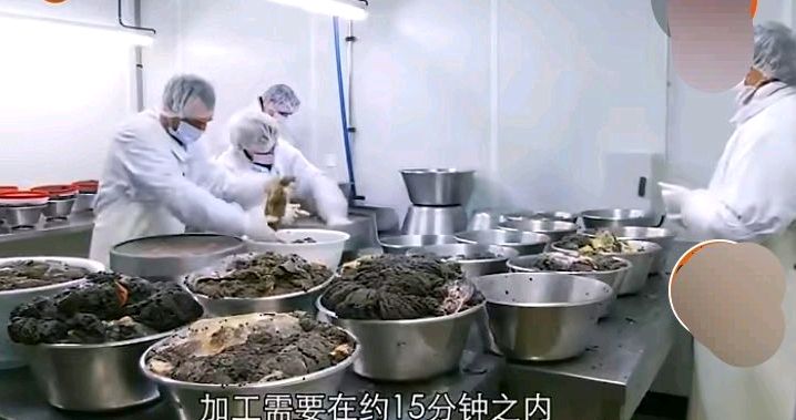 几万块的鱼子酱,几十块的鱼子酱和几百块的鱼子酱