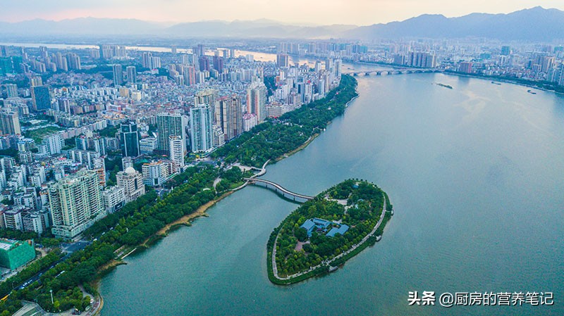 哪个省最爱吃鸡,广东被称为最会吃鸡的地方