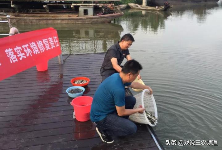 下半年农村严打五种行为,农村这三类人将被严查