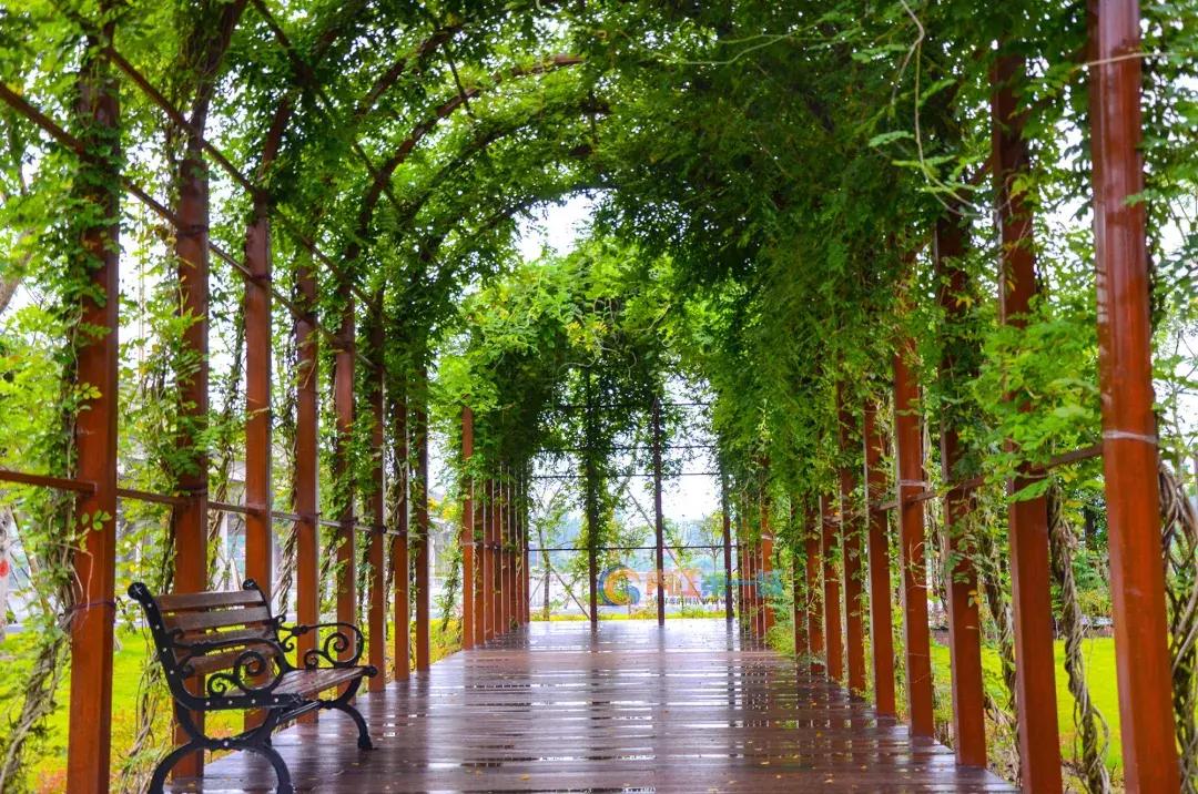 内江运动场地大盘点，赶紧管住嘴，迈开腿，是时候去流汗了！