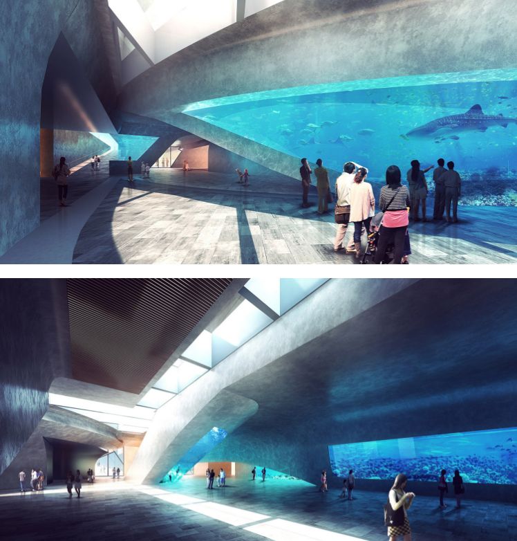 青岛海洋馆和海昌极地哪个好,青岛比极地海洋世界更好玩的地方