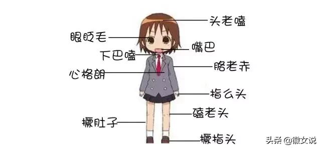 用一句话证明你是安徽的,用一句话来证明你是武汉人