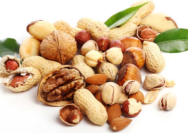 坚果最近发生的新闻,坚果的故事