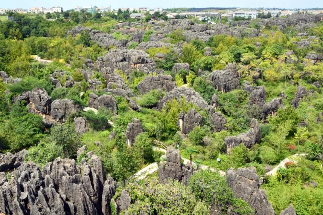 昆明周边亲子游自驾游攻略,五一周边短途自驾游昆明