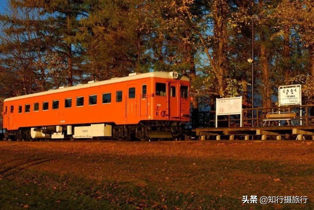 日本适合情侣拍照的地方有哪些呢,日本适合情侣拍照的地方