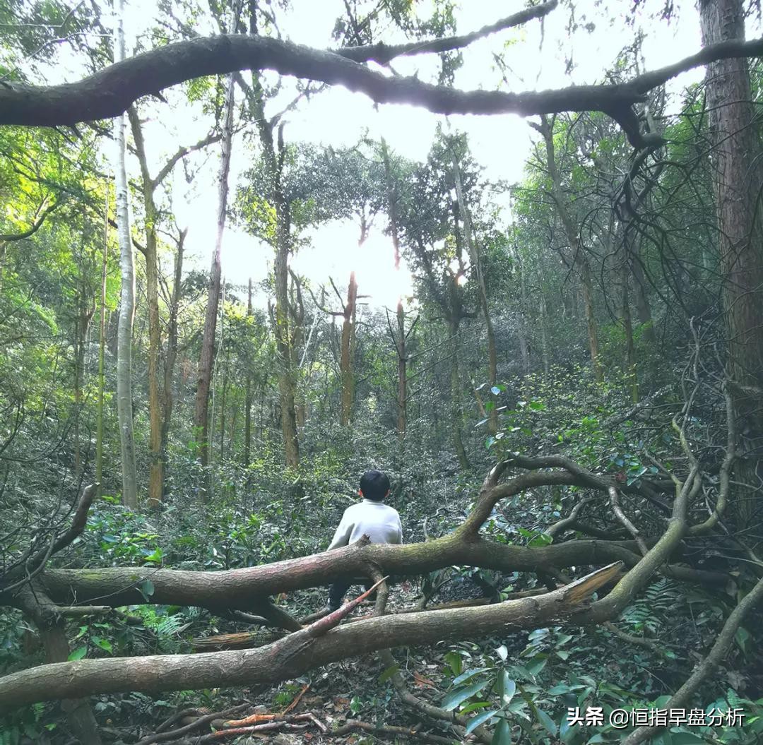 让人恍然大悟句子,令人恍然大悟文章