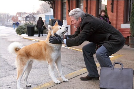 那么可爱的狗狗为什么要禁养呢,狗狗的禁养有哪些