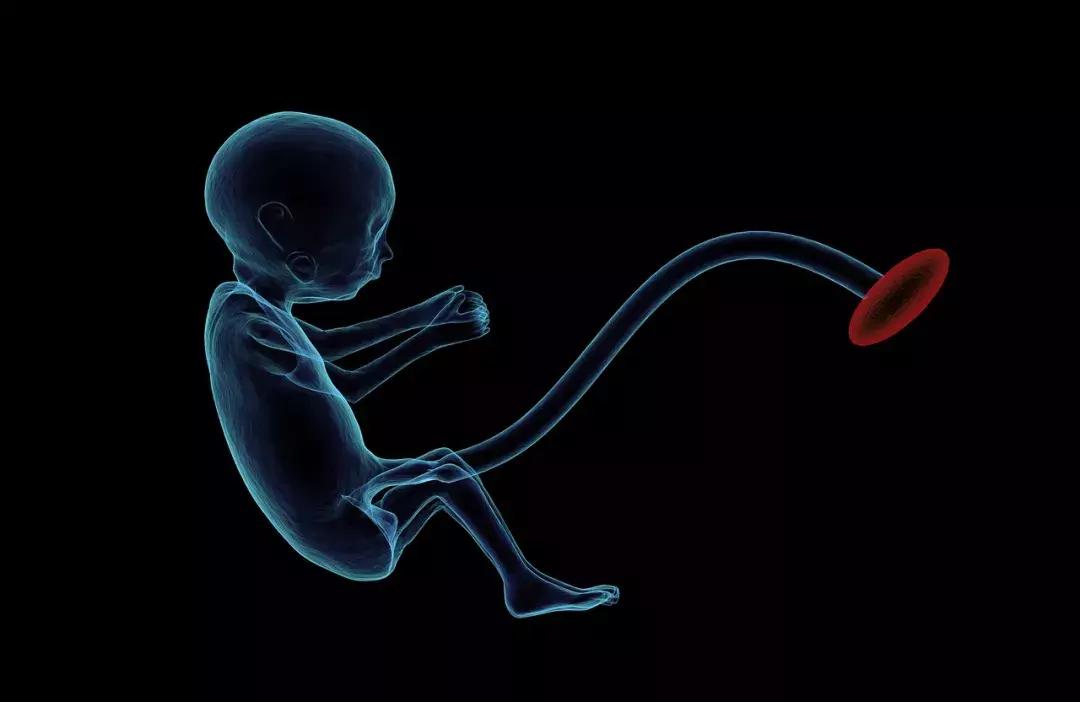 胎盘是骗局么,胎盘骗局