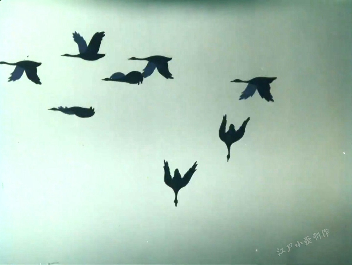 细思极恐无法遁逃后续,细思极恐完整版视频