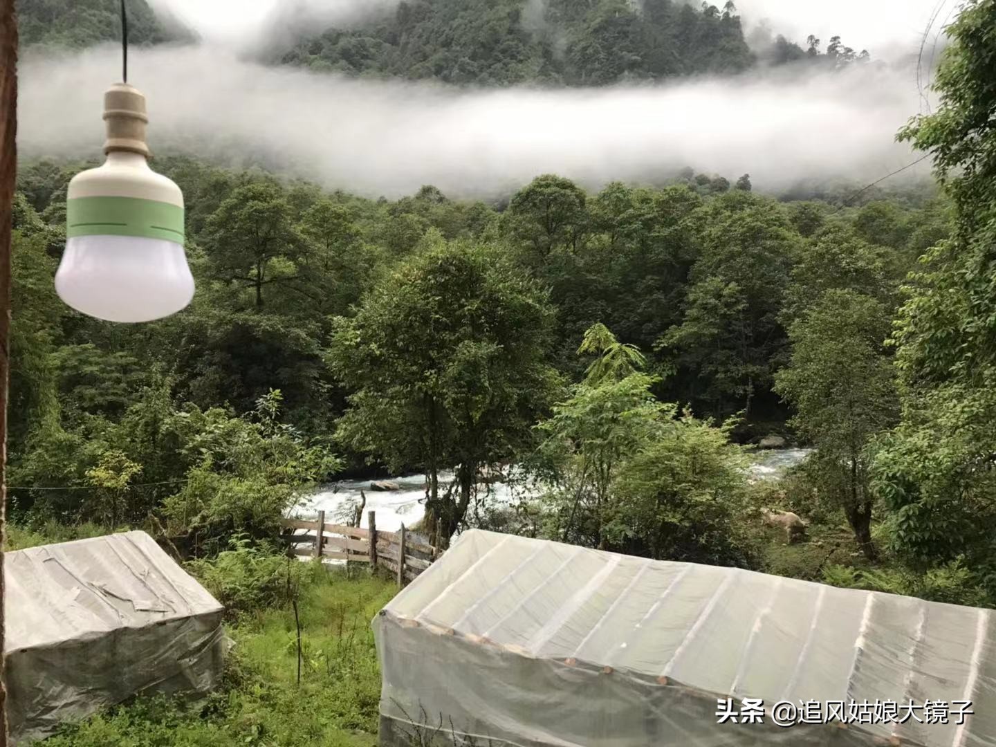 穿越到原始森林里面,穿越原始森林来种田