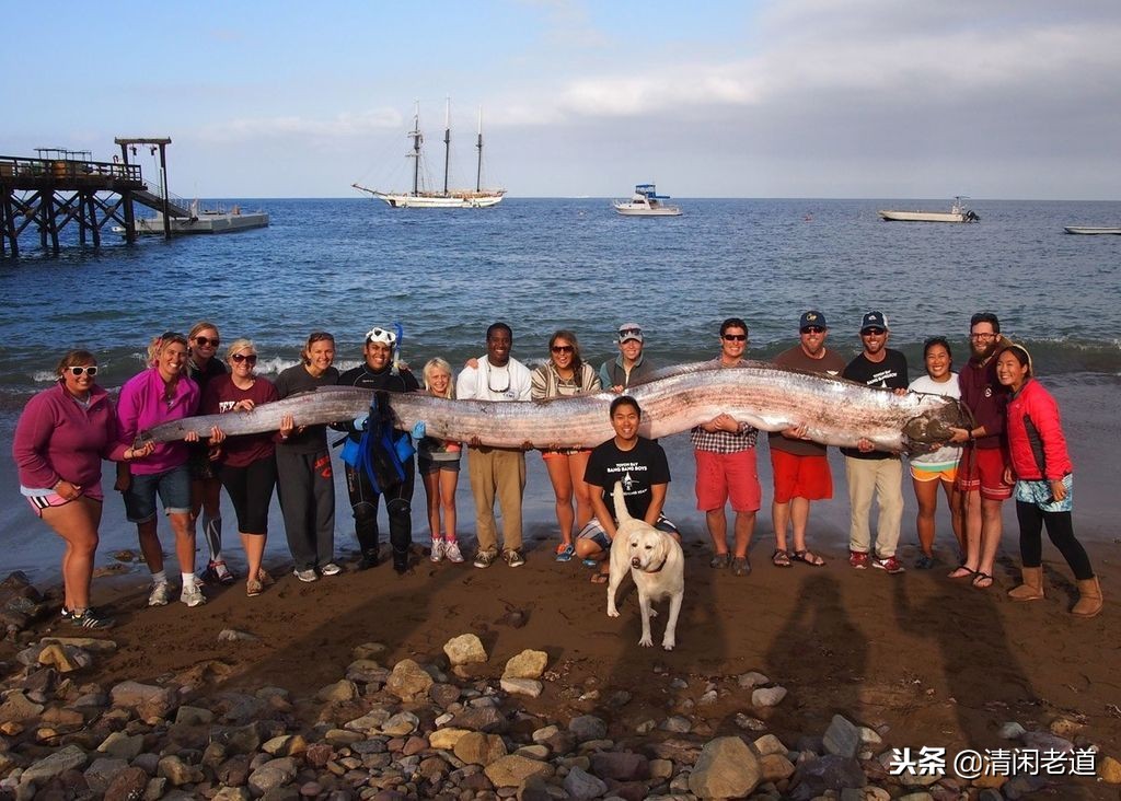 山海经里面记载的八种龙,山海经中有龙的记载在哪
