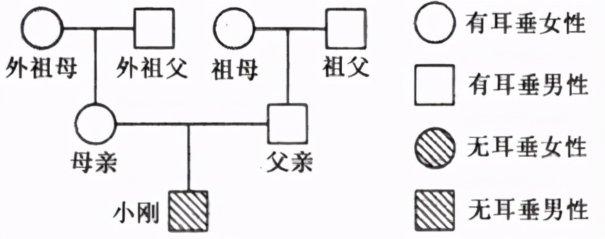 八年级生物中考新突破2024年,生物八年级上册达标测试卷