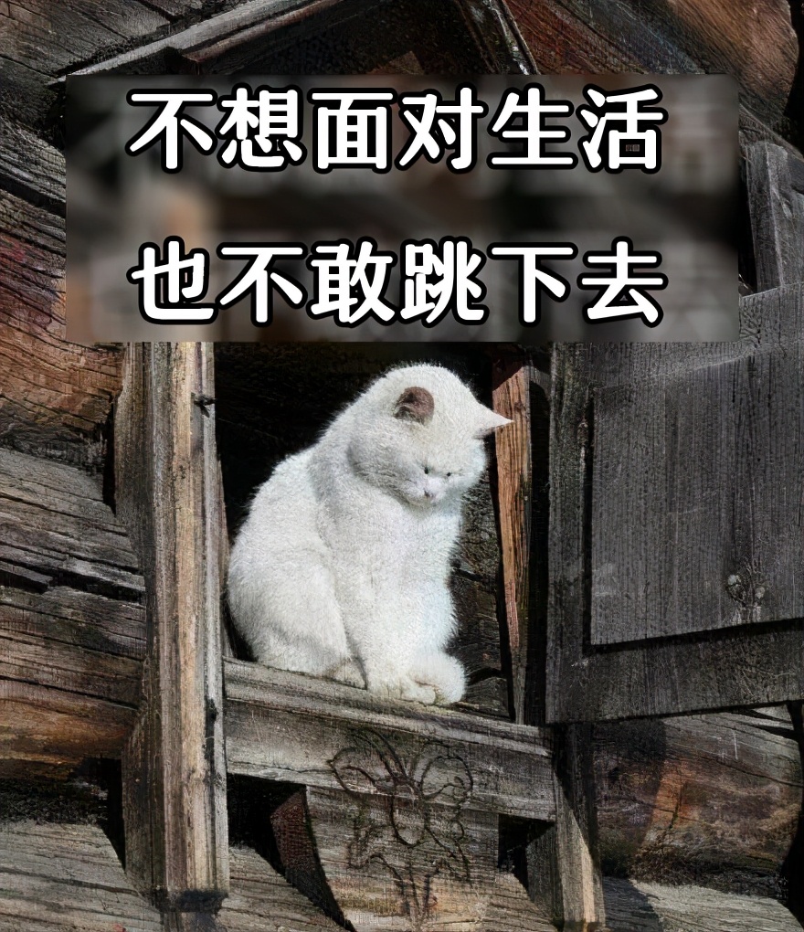 深圳癌症发病率最高的城市,深圳癌症多少例