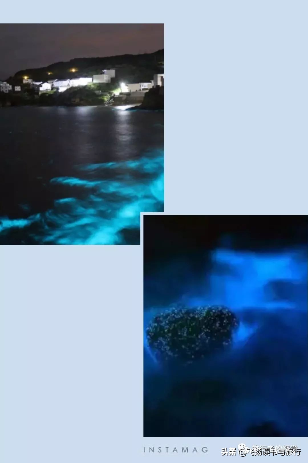 花鸟岛是个好地方,花屿花鸟岛