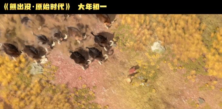 孩子不能看3d电影吗,6岁孩子看3d电影有影响吗