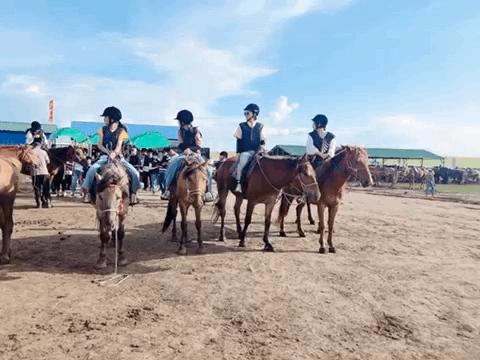 暑假带孩子内蒙古旅游攻略,暑期内蒙古亲子游鄂尔多斯