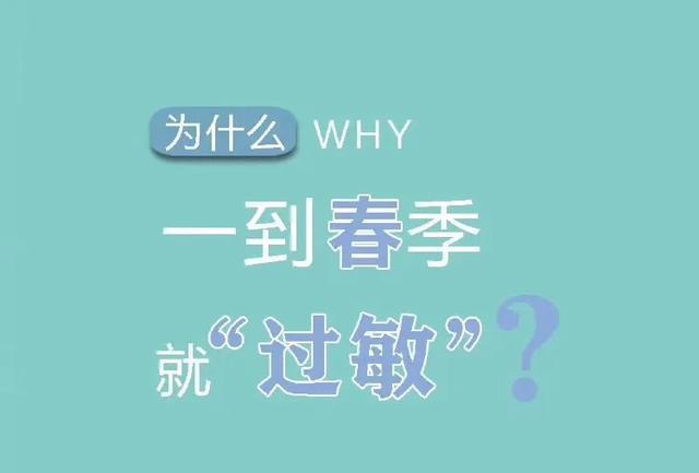 复活草补水面膜明星,日本复活草面膜林允