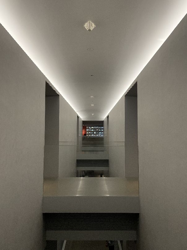 魔都十大必去博物馆,上海震旦博物馆攻略