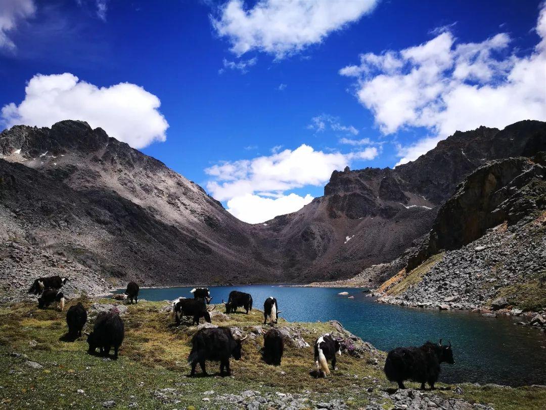 徒步新藏线什么时候开始,川藏线十大徒步路线