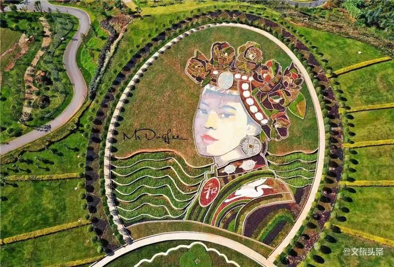 来到这个花田胜景小镇，拥抱“南国御养”健康生活目的地